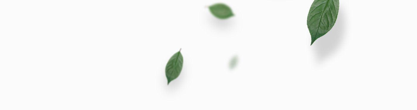 /interface/portfolio/leafnote/leafnote-8.jpg